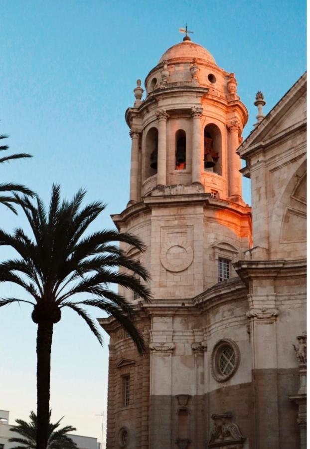 Botanico Playa Y Ascensor Grupo Ac Gestion Appartement